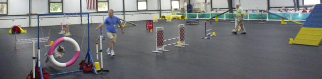 Agility trial at QCDTC